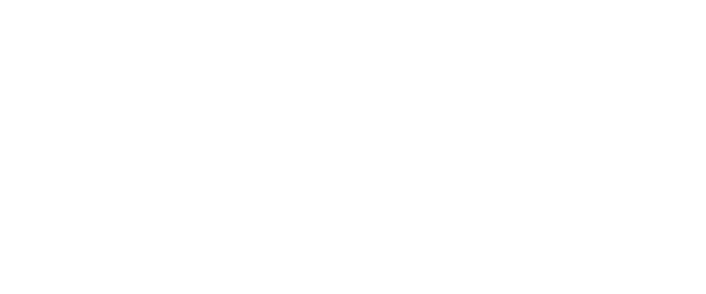 Nywelewigs